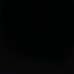 Meet your Posher, Charlsie